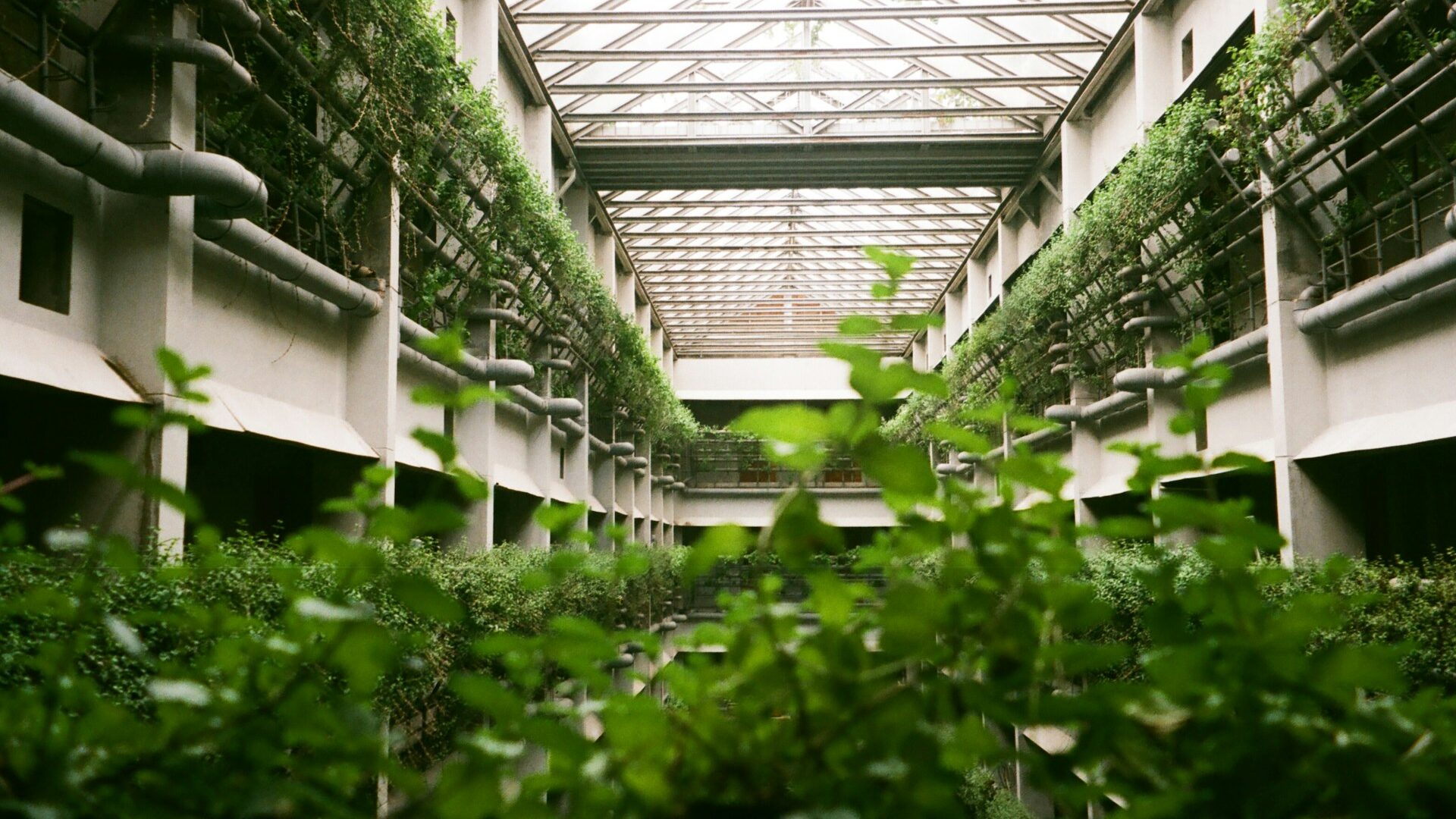 Edifício com plantas para refrescar o ambiente - Reprodução Ahya Agawis via Unsplash